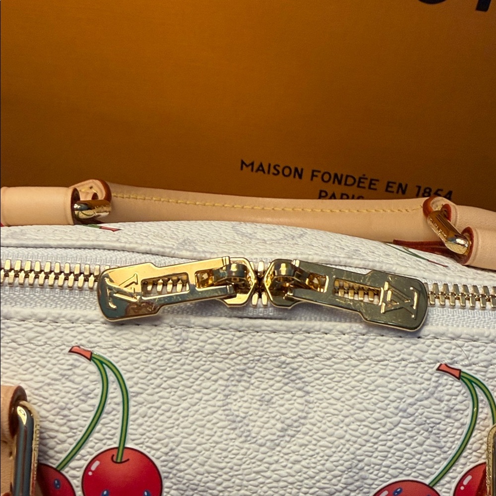 Louis Vuitton LV x TM Cerises/Cherries Soft Speedy 30 - Picture 7 of 17